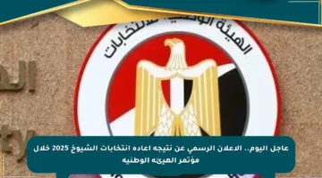 عاجل اليوم.. الإعلان الرسمي عن نتيجة إعادة انتخابات الشيوخ 2025 خلال مؤتمر الهيئة الوطنية